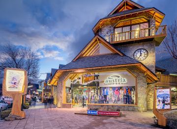 argentina/san-martin-de-los-andes/shop/austria-skiranch
