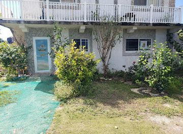 the-bahamas/cat-island/shop/cat-island-experience