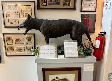 maine/bangor/shop/international-cryptozoology-museum-bangor-store