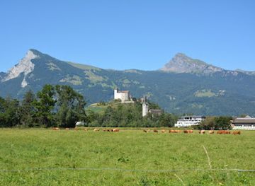 liechtenstein/balzers-region/shop/silverback-tattoo-society