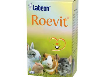 guyana/anna-regina/shop/the-corner-store-birdman