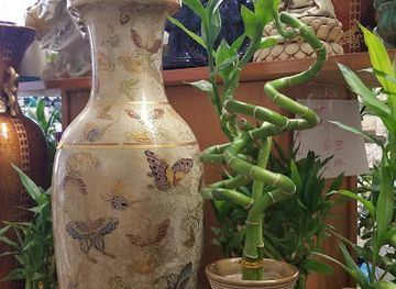 Bamboo & Things