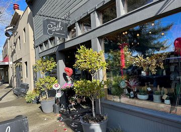 washington/snoqualmie-pass/shop/down-to-earth