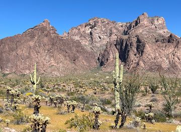 arizona/kofa-national-wildlife-refuge/shop/palm-canyon-kofa-n-w-r