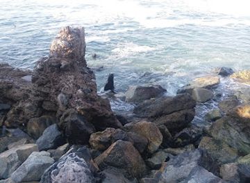 chile/antofagasta/shop/shangri-la-growshop-local-35-segundo-nivel-galeria-siglo