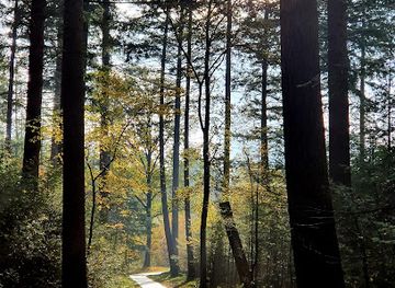 belgium/campine-kempen/shop/the-kempen