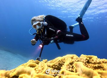 jordan/aqaba-coast/shop/aqaba-frogman-diving-center