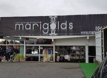 new-zealand/palmerston-north/shop/marigolds