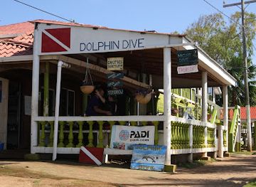 nicaragua/pacific-region/shop/dolphin-dive