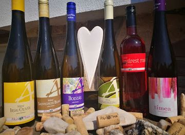 hungary/matra-mountains/shop/akos-pince-borteka