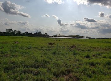 gabon/plateaux-bateke/shop/parc-de-la-lekedi