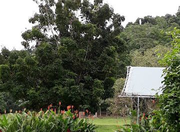 australia/daintree-rainforest/shop/daintree-rainforest-village