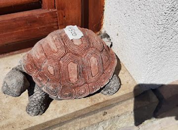 hungary/lake-balaton/shop/regisegbolt