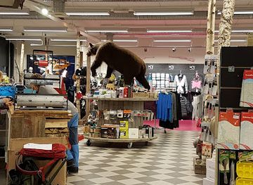 norway/trondelag/shop/jan-sakshaug-sport-as