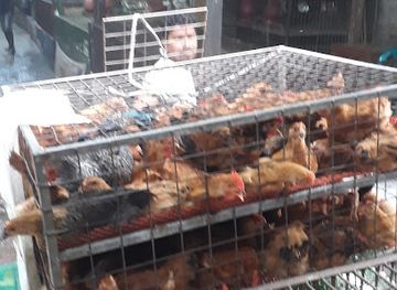 bangladesh/khulna/shop/khulna-bangladesh