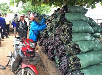 laos/oudomxay-province/shop/kn