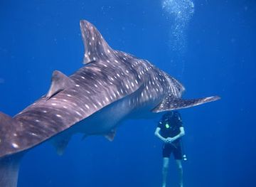 costa-rica/corcovado-national-park/shop/cano-divers