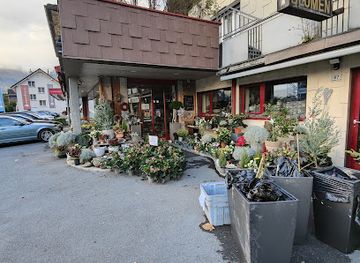 liechtenstein/gamprin/shop/nascher-blumen-u-garten-anstalt