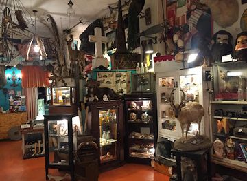 illinois/chicago/shop/woolly-mammoth