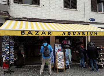 spain/san-sebastian/parte-vieja-old-town/shop/bazar-aquarium