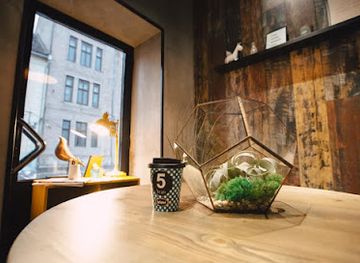 romania/sibiu/shop/greenarium-ro-terarii-cu-plante-aeriene-si-suculente