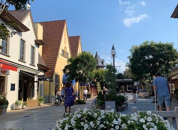 belgium/hoge-kempen-national-park/shop/the-society-shop