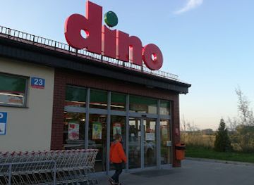 poland/wiślica/shop/dino