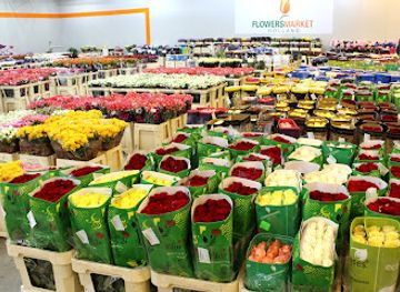 romania/ilfov/shop/depozit-flori-en-gros-bucuresti-afumati-flowers-market-holland