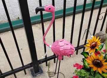 colorado/estes-park/shop/flattop-mountain-trading-company