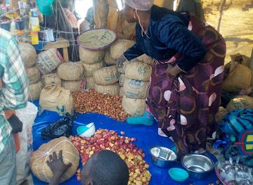 guinea/upper-guinea/shop/gujungu-market