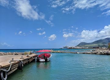 saint-kitts-and-nevis/south-frigate-bay-beach/shop/dolphin-discovery-saint-kitts