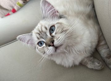 sweden/vastmanland/shop/hobbes