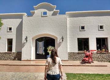 argentina/cafayate/shop/bodega-domingo-hermanos