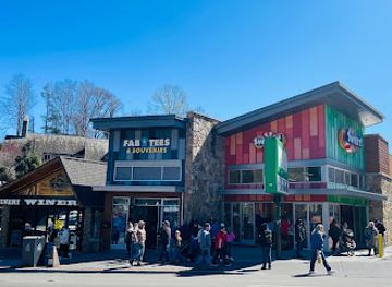 tennessee/gatlinburg/shop/fab-tees-souvenirs