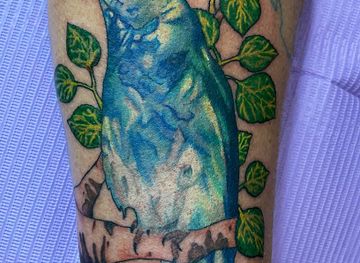 wyoming/wind-river-range/shop/wind-river-tattoo-studio