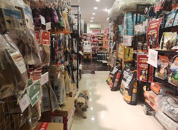 singapore/balestier/shop/i-n-u-boutique-retail-shop-for-pet-products-not-cafe