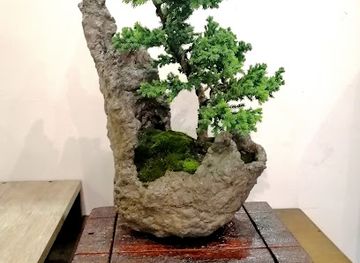 ecuador/morona-santiago-region/shop/tu-tienda-before-you