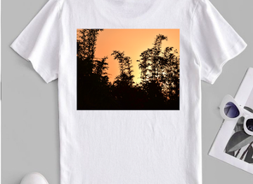 mexico/cancun/shop/salamandra