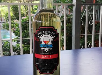 costa-rica/rincon-de-la-vieja-national-park/shop/vinos-artesanales-tonino