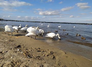 poland/zegrze-reservoir/shop/zegrzynskie-lake-beach