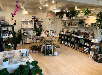 massachusetts/salem/shop/oak-moss