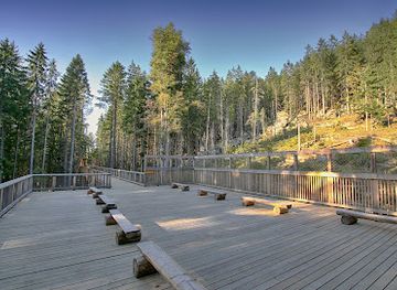 czechia/sumava/shop/vlci-vybeh-srni-podivani-zvenku