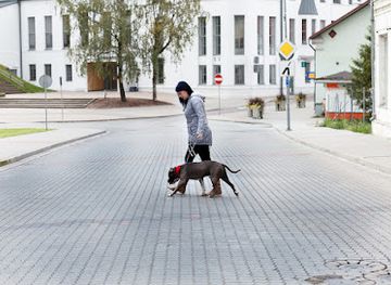 latvia/talsi/shop/ltd-betolli