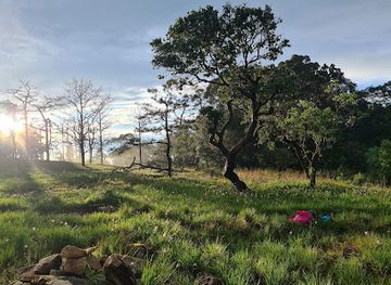 laos/bolaven-plateau/shop/danyai-bolaven-plateau