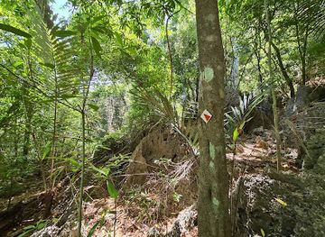 christmas-island/kampong/shop/west-white-beach-trailhead