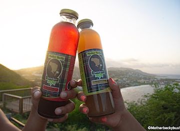 saint-kitts-and-nevis/dieppe-bay-town/shop/mother-becky-bush-tea