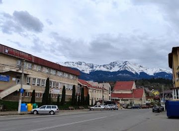 romania/rodnei-mountains/shop/unicarm-borsa