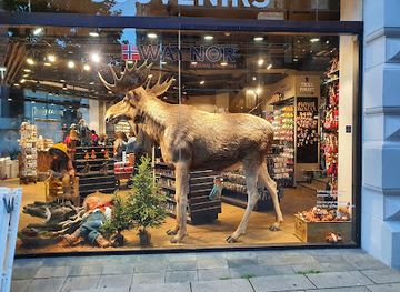 norway/southern-norway/shop/waynor