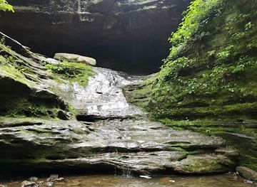 illinois/ferne-clyffe-state-park/shop/ferne-clyffe-waterfall-trail