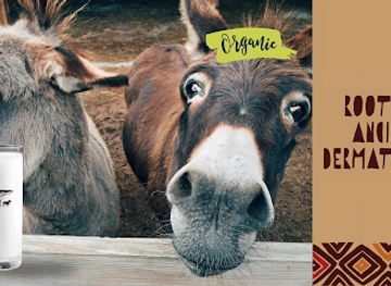 botswana/central-kalahari-game-reserve/shop/secret-kalahari